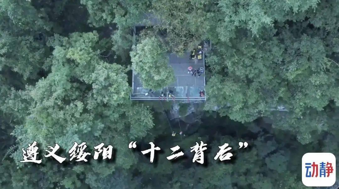 点击排行榜(2024年1月12日—2024年1月18日)