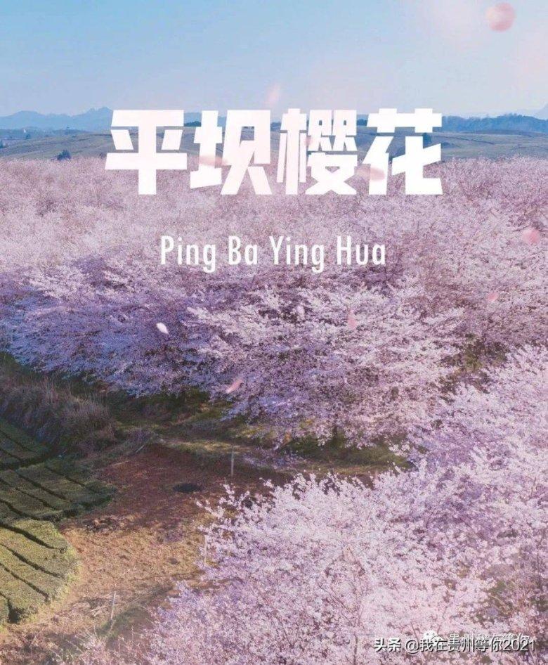 春运拉开帷幕——锦州站、锦州北站预计发送旅客31万人次